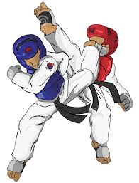 Advance Taekwondo Classes in Delhi